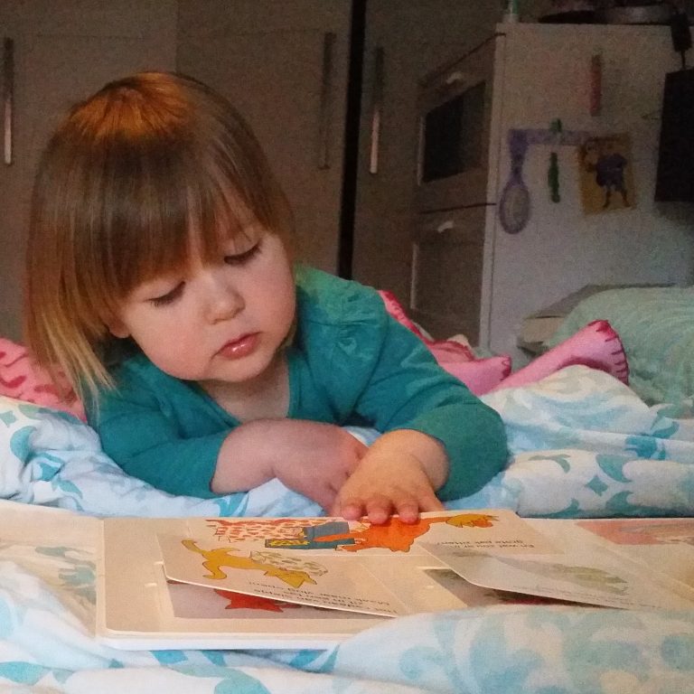 cadeautips voor de tweede verjaardag: dikkie dik flapjesboek