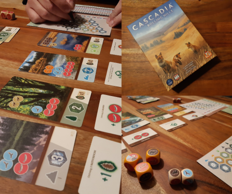 Review Cascadia Rolling Hills: dobbelspel vol natuur & tactiek