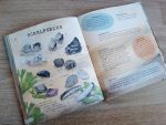 Binnenkant van Wildzoekers op het strand met informatie over verschillende schelpen en de namen ervan