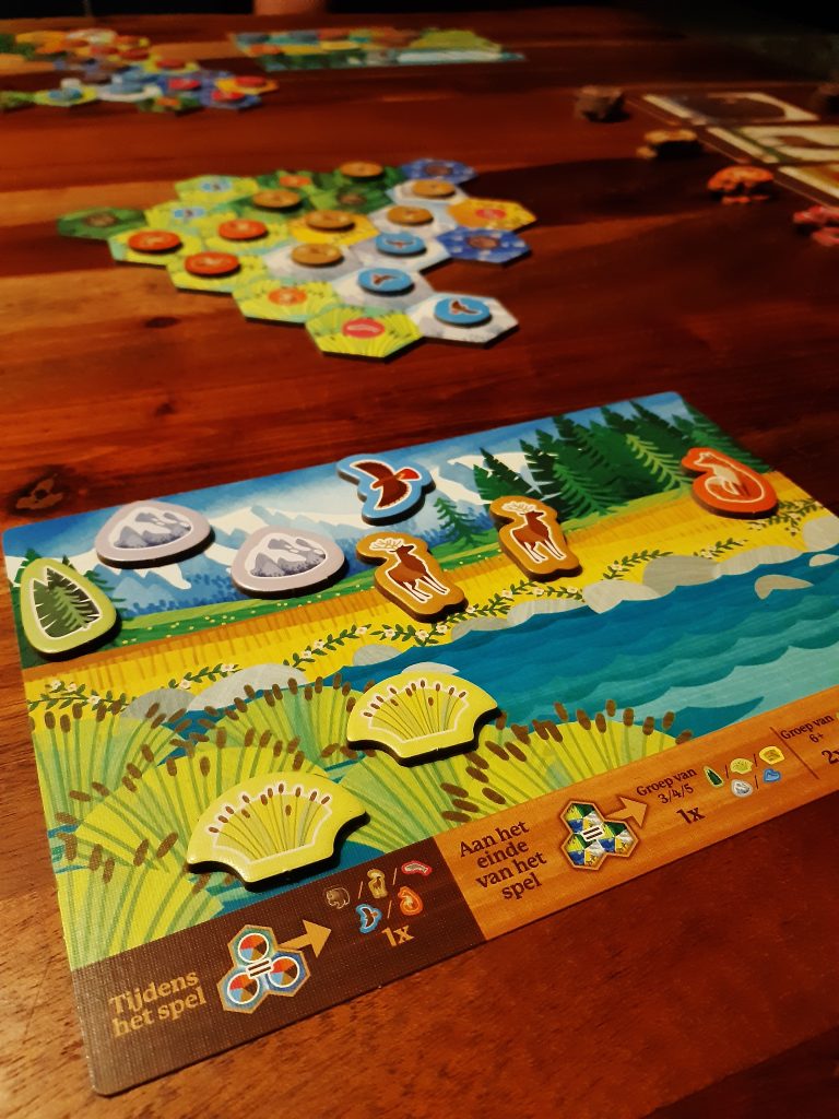 Cascadia Junior review: een speels puzzelspel voor jonge natuurliefhebbers