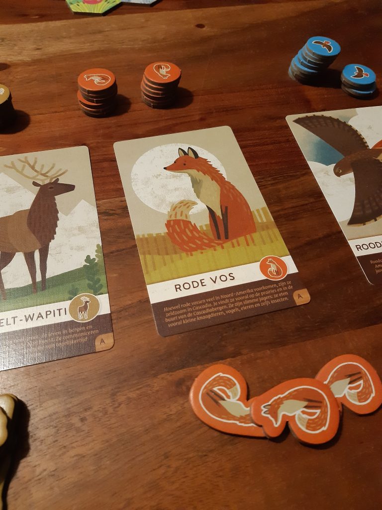 Review Cascadia Junior: puzzelen op kinderhoogte in de natuur